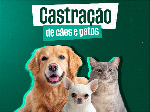 Prefeitura de Areial realiza castração gratuita de cães e gatos através do programa Castra+ Paraíba